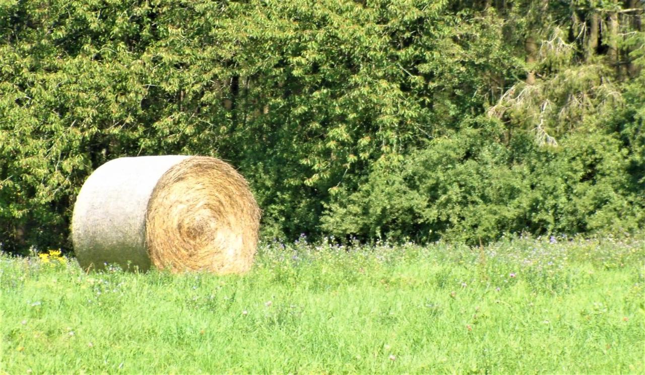 Aux Saveurs D'Enneille Bed & Breakfast Durbuy Eksteriør bilde