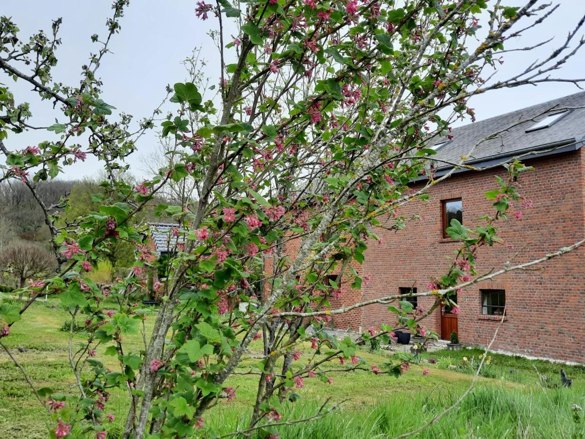 Aux Saveurs D'Enneille Bed & Breakfast Durbuy Eksteriør bilde